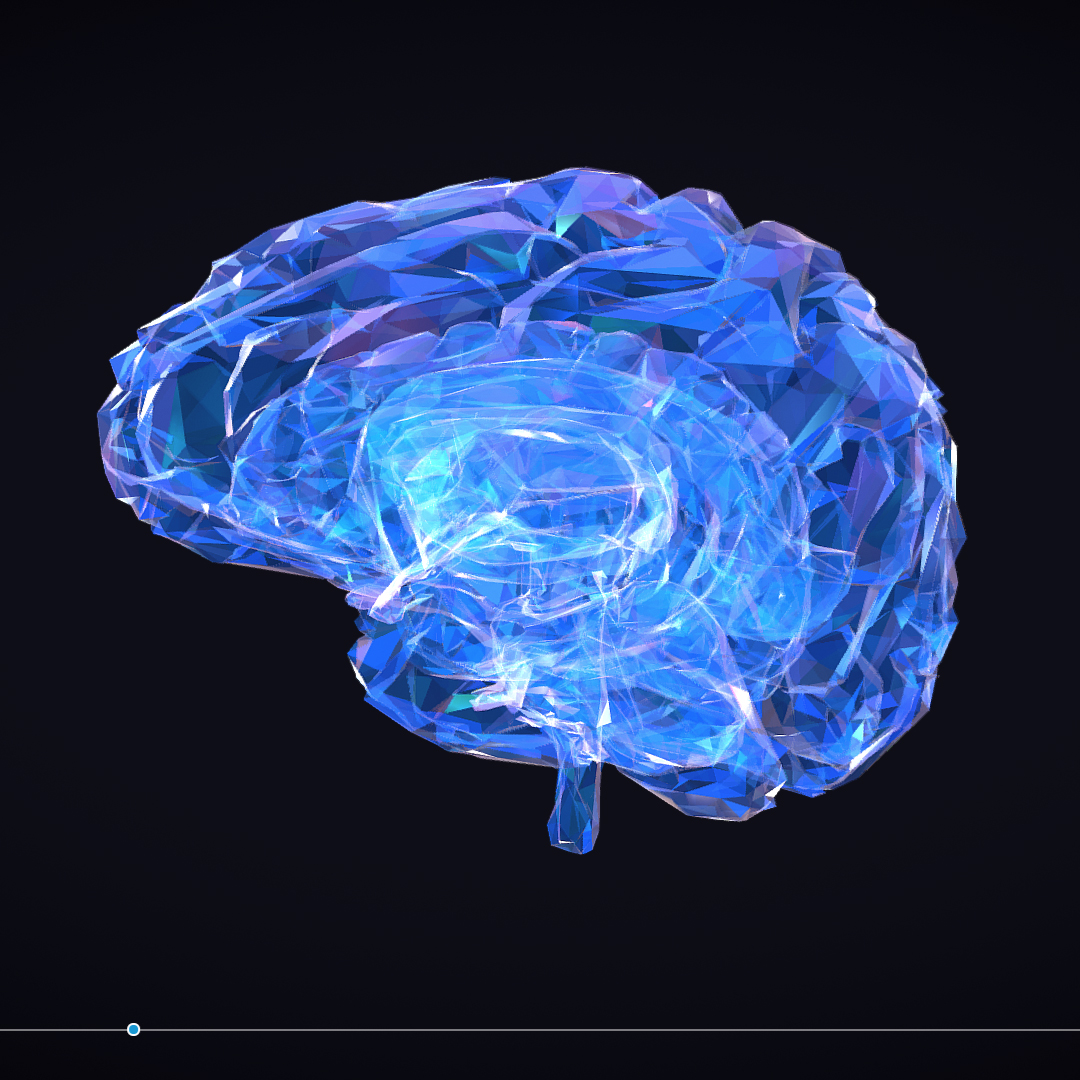 low polygon art medical brain roentgen 3d model 3ds 270583