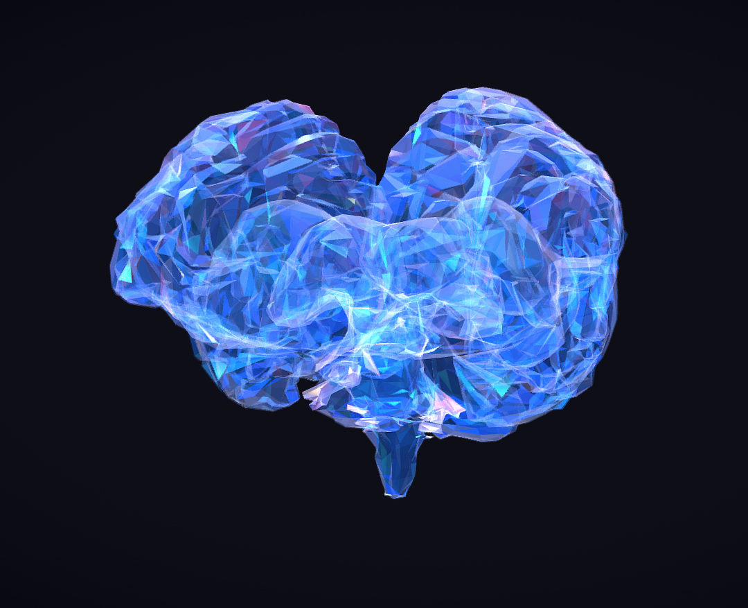 low polygon art medical brain roentgen 3d model 3ds 270584