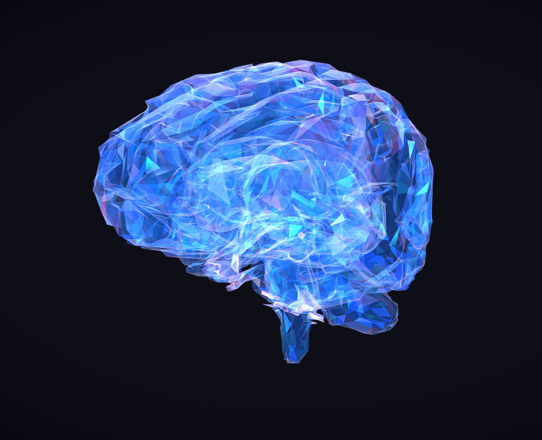 low polygon art medical brain roentgen 3d model 3ds 270601