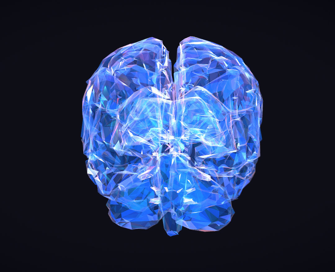 low polygon art medical brain roentgen 3d model 3ds 270605