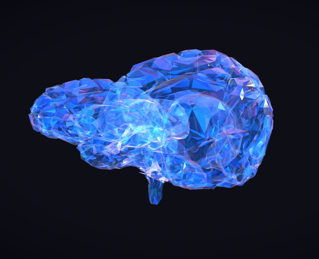 low polygon art medical brain roentgen 3d model 3ds 270612