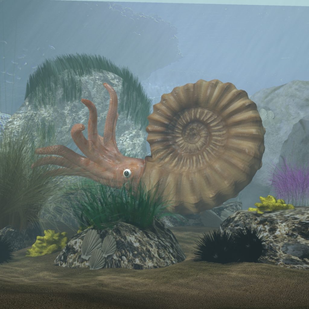 Ammonite With Complete Underwater Scene 3d Model Flatpyramid 5127