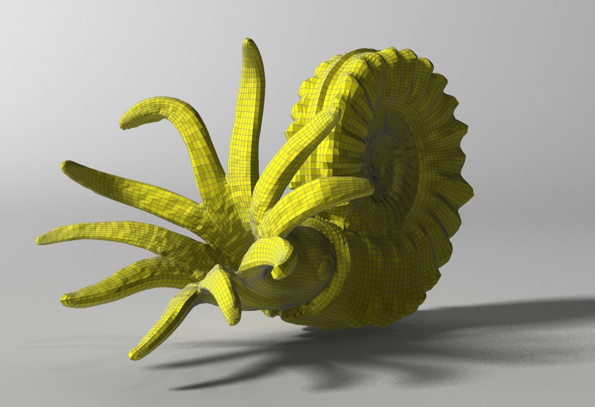 ammonite with complete underwater scene 3d model max fbx  obj 270744