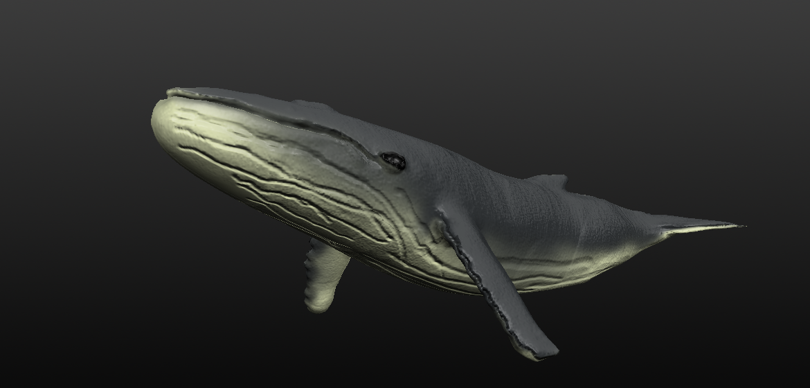 humpback whale 3d model blend 279909