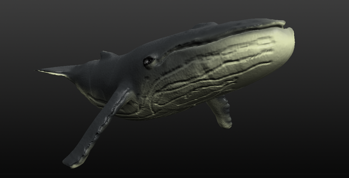 humpback whale 3d model blend 279913