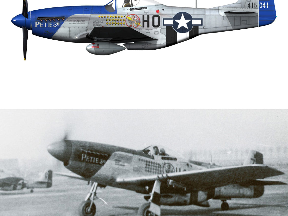 north american p-51d mustang – petie 3rd 3d model fbx c4d lwo obj 280144