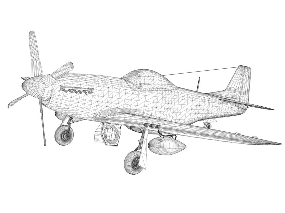 north american p-51d mustang – flying undertaker 3d model fbx c4d lwo obj 280173