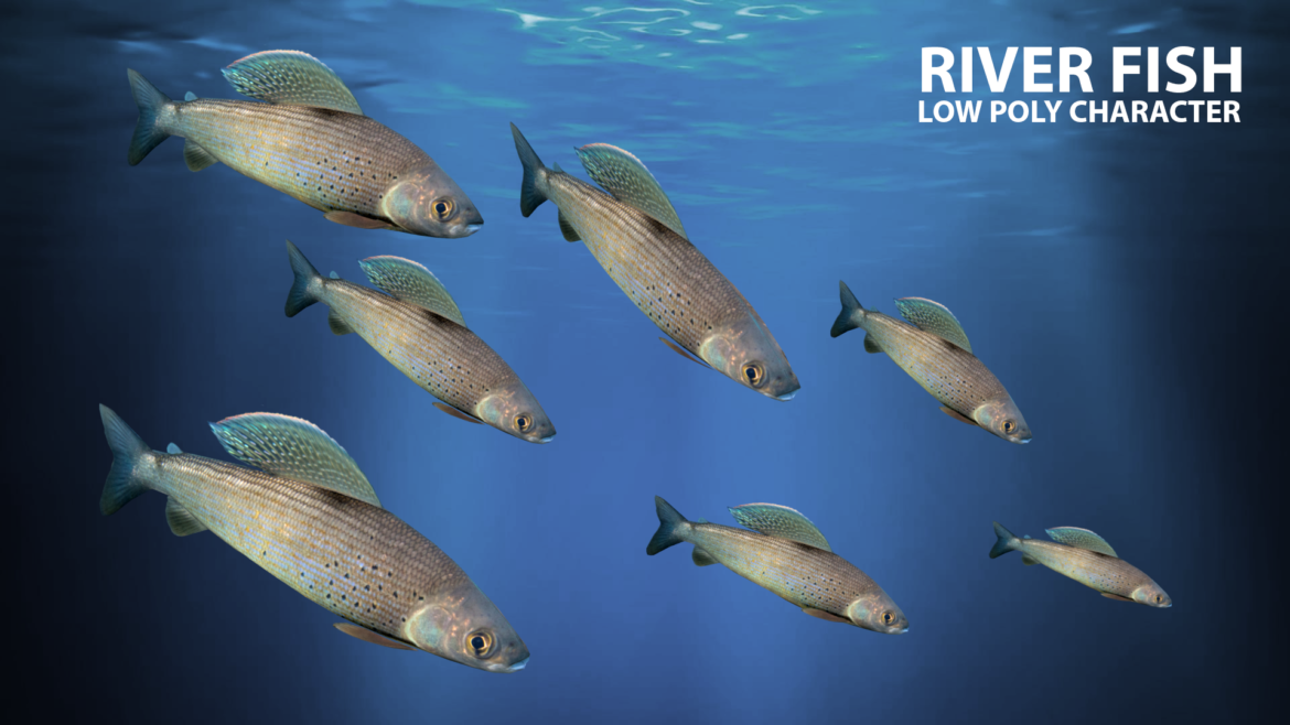 river fish lowpoly 3d model fbx 306658