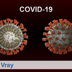 covid-19 virus 3d model max 316984