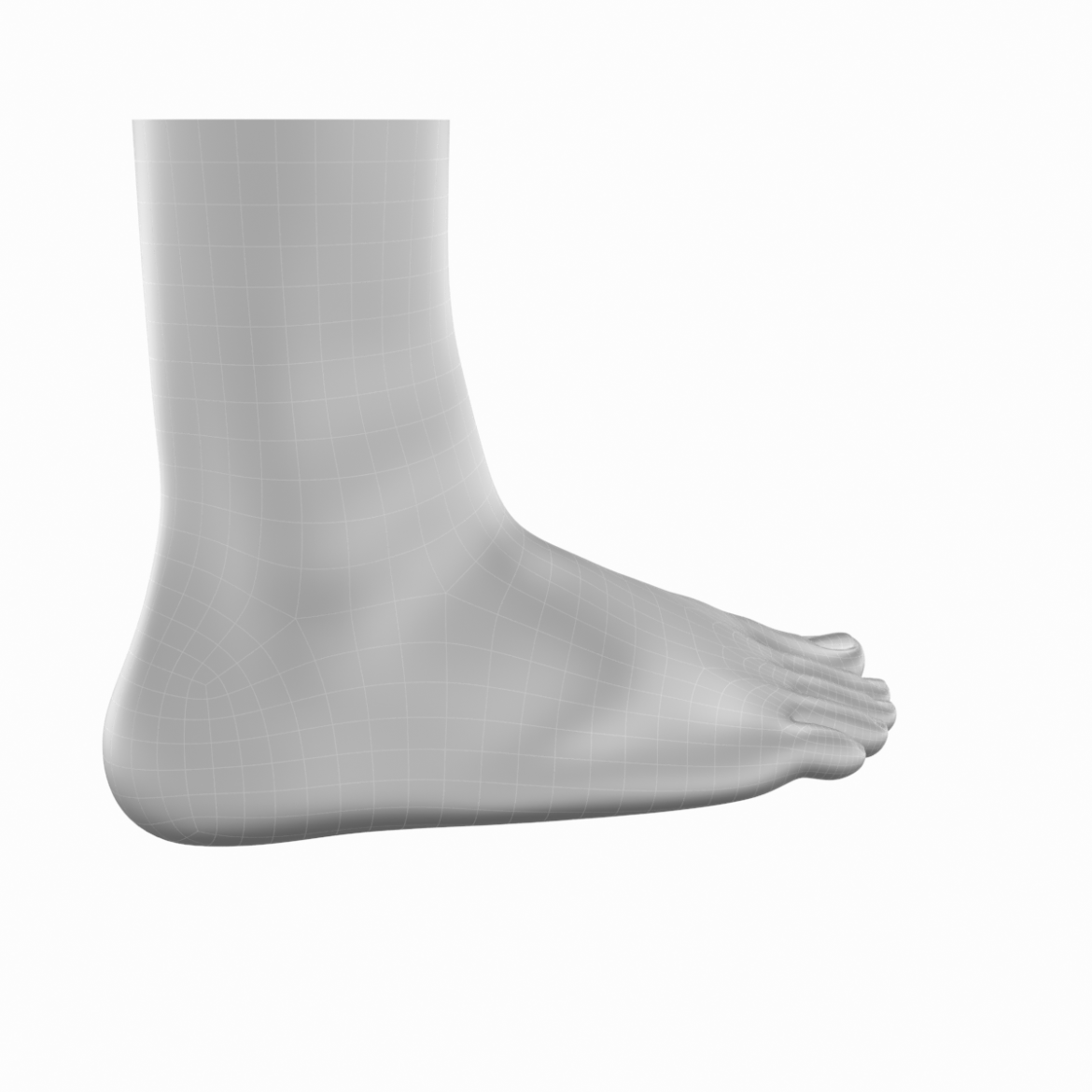 human feet in standing position base mesh 3d model 3ds max dxf dwg fbx blend c4d dae ma mb  obj ztl 320892