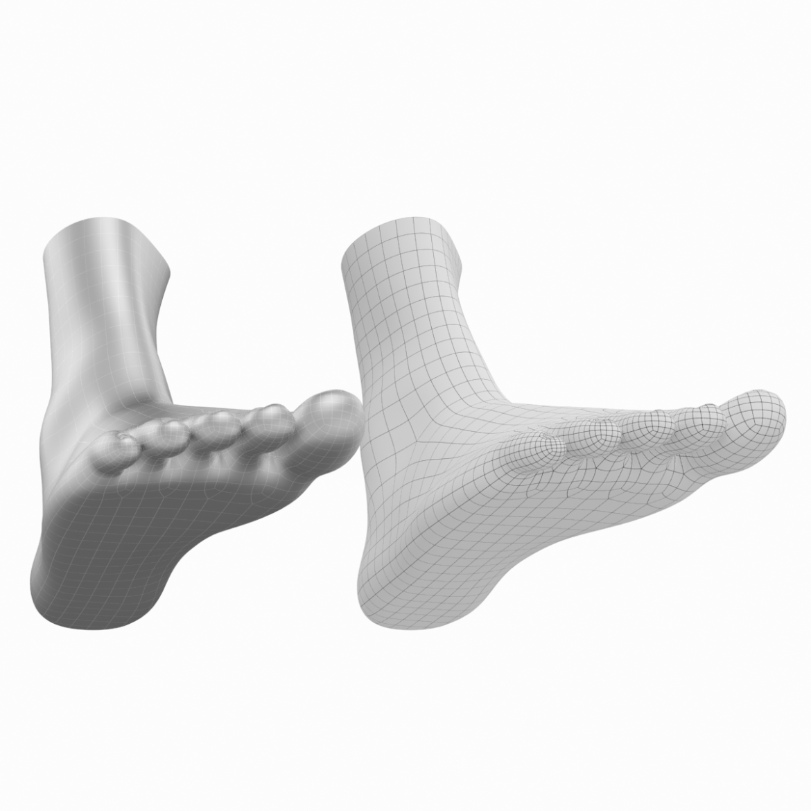 human feet in standing position base mesh 3d model 3ds max dxf dwg fbx blend c4d dae ma mb  obj ztl 320907