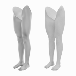 realistic female legs natural proportions 3d model 3ds max fbx blend c4d dae ma mb  obj 320965