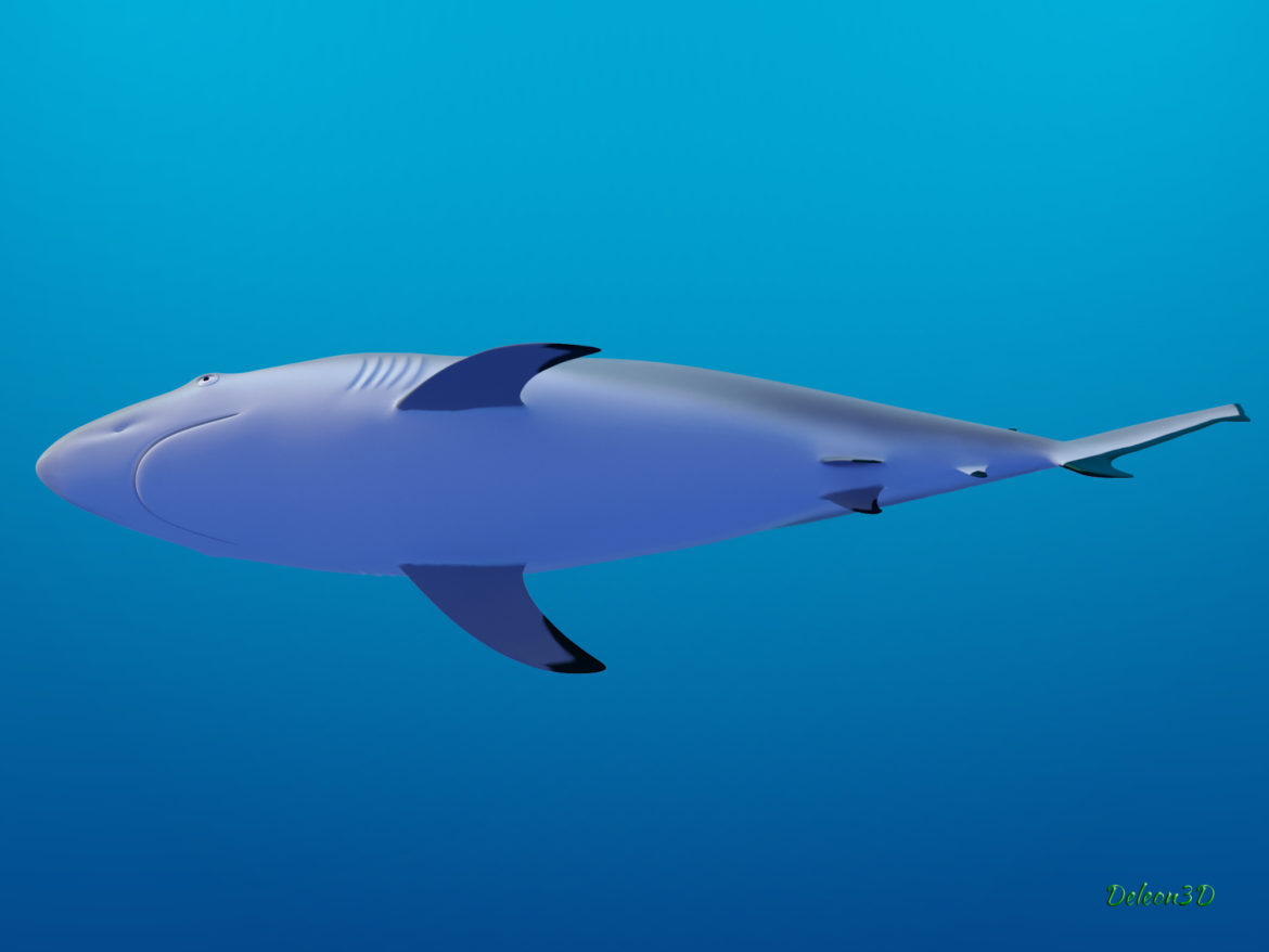 blacktip reef shark 3d model max fbx c4d lxo ma mb  obj 322296