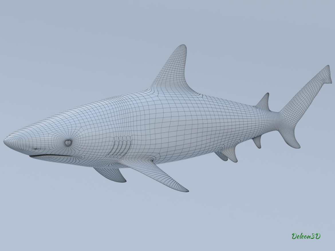 blacktip reef shark 3d model max fbx c4d lxo ma mb  obj 322299