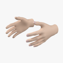  <a class="continue" href="https://www.flatpyramid.com/3d-models/medical-3d-models/anatomy/skeletal-system/hand/female-hand-base-mesh-01/">Continue Reading<span> Female Hand Base Mesh 01</span></a>