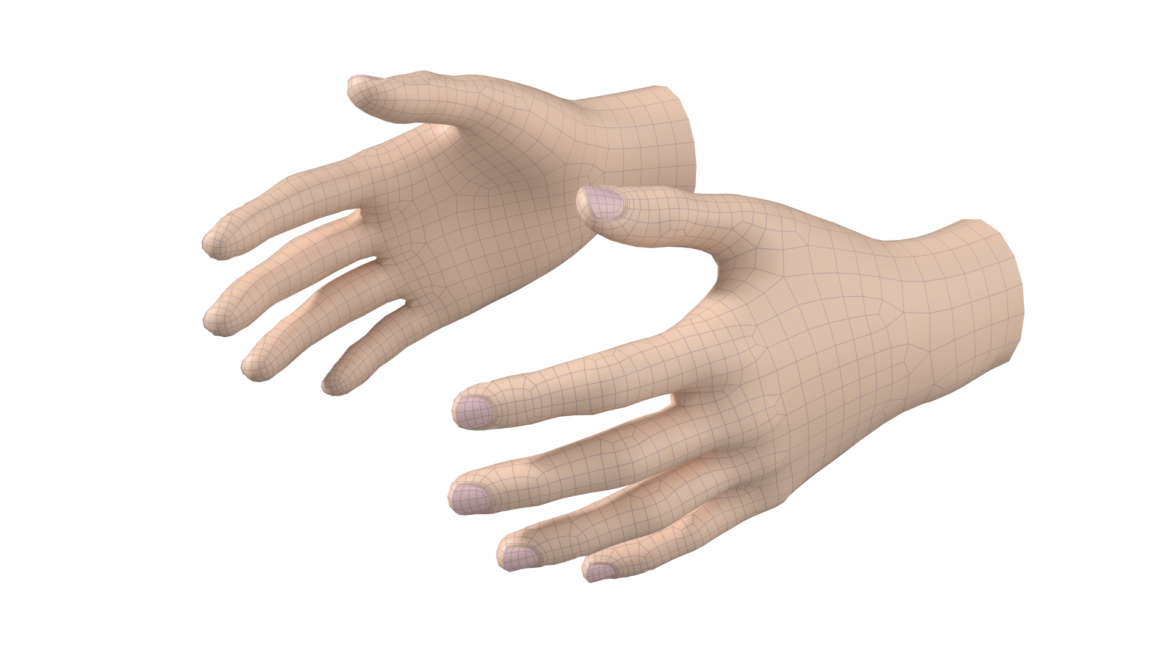  <a class="continue" href="https://www.flatpyramid.com/3d-models/medical-3d-models/anatomy/skeletal-system/hand/female-hand-base-mesh-02/">Continue Reading<span> Female Hand Base Mesh 02</span></a>