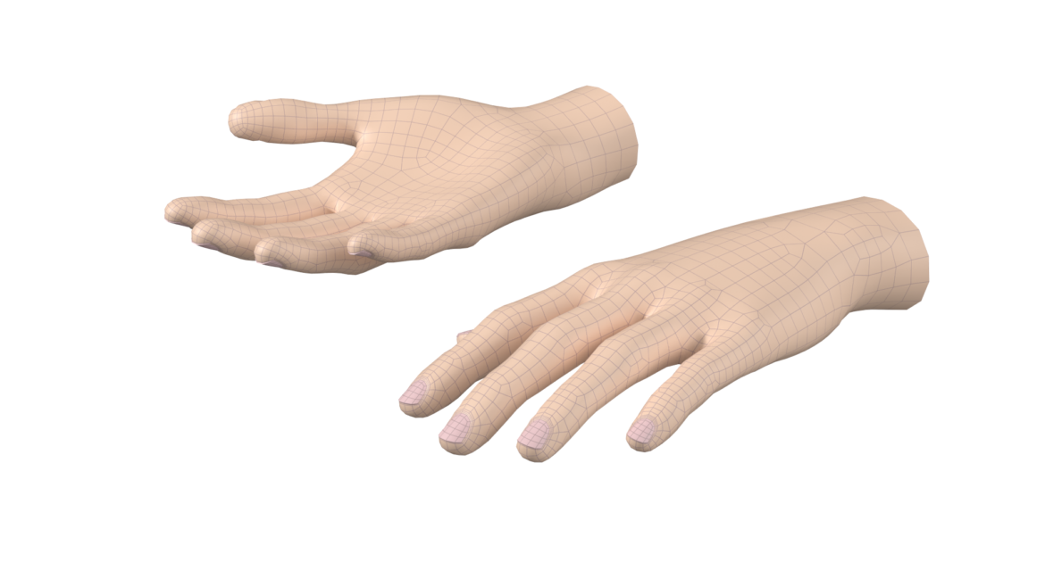  <a class="continue" href="https://www.flatpyramid.com/3d-models/medical-3d-models/anatomy/skeletal-system/hand/female-hand-base-mesh-02/">Continue Reading<span> Female Hand Base Mesh 02</span></a>