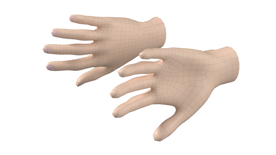  <a class="continue" href="https://www.flatpyramid.com/3d-models/medical-3d-models/anatomy/skeletal-system/hand/female-hand-base-mesh-03/">Continue Reading<span> Female Hand Base Mesh 03</span></a>