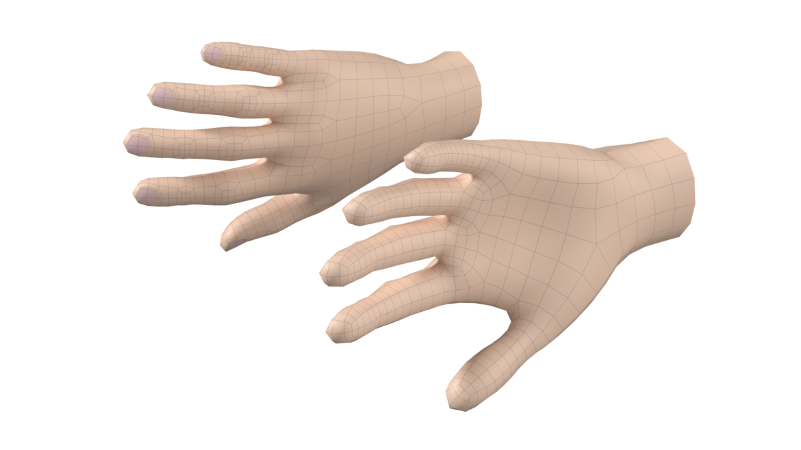  <a class="continue" href="https://www.flatpyramid.com/3d-models/medical-3d-models/anatomy/skeletal-system/hand/female-hand-base-mesh-05/">Continue Reading<span> Female Hand Base Mesh 05</span></a>