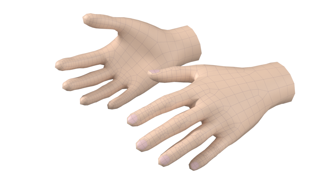  <a class="continue" href="https://www.flatpyramid.com/3d-models/medical-3d-models/anatomy/skeletal-system/hand/female-hand-base-mesh-05/">Continue Reading<span> Female Hand Base Mesh 05</span></a>