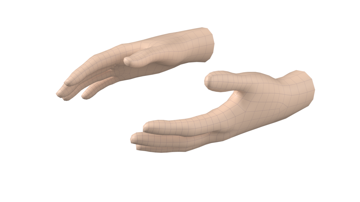  <a class="continue" href="https://www.flatpyramid.com/3d-models/medical-3d-models/anatomy/skeletal-system/hand/female-hand-base-mesh-06/">Continue Reading<span> Female Hand Base Mesh 06</span></a>
