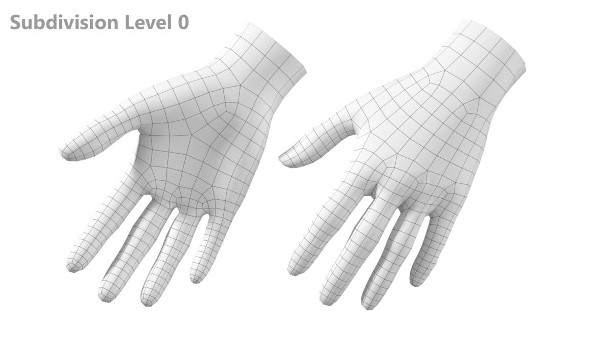  <a class="continue" href="https://www.flatpyramid.com/3d-models/medical-3d-models/anatomy/skeletal-system/hand/female-hand-base-mesh-06/">Continue Reading<span> Female Hand Base Mesh 06</span></a>