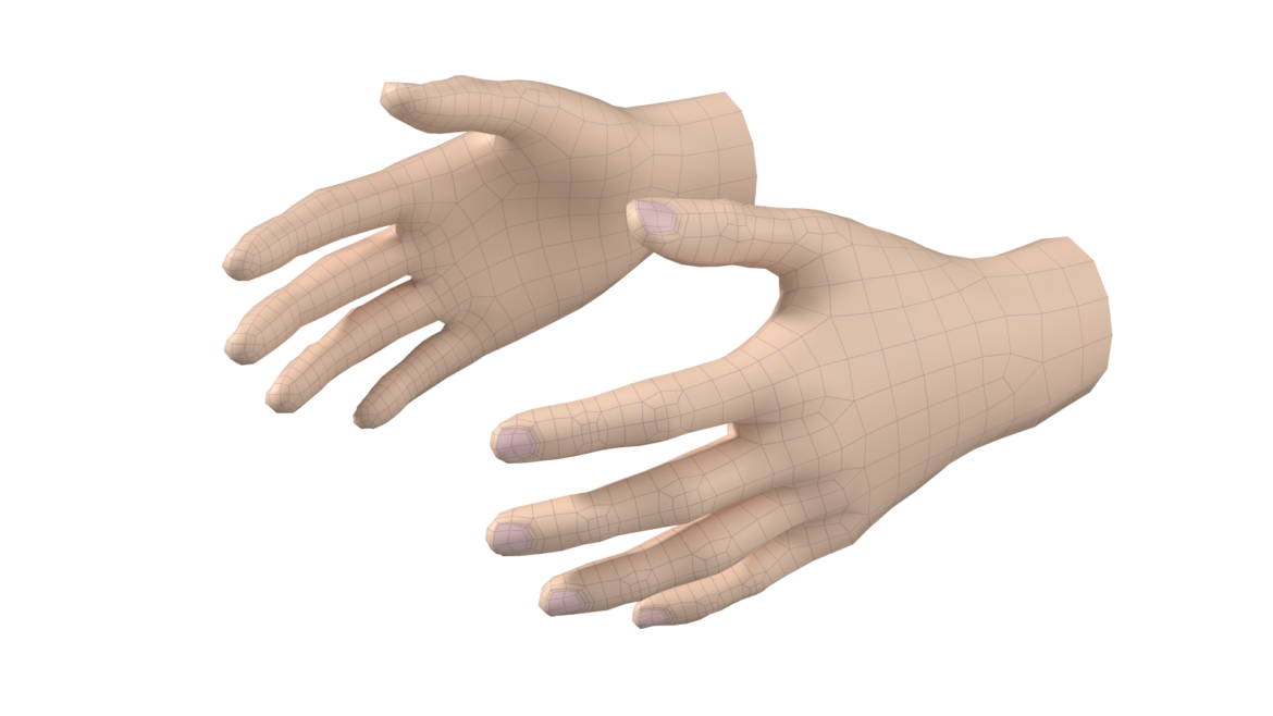  <a class="continue" href="https://www.flatpyramid.com/3d-models/medical-3d-models/anatomy/skeletal-system/hand/female-hand-base-mesh-09/">Continue Reading<span> Female Hand Base Mesh 09</span></a>