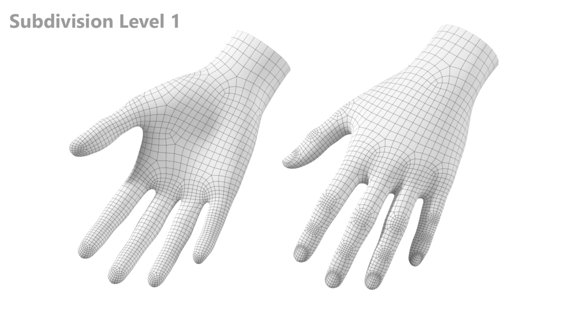  <a class="continue" href="https://www.flatpyramid.com/3d-models/medical-3d-models/anatomy/skeletal-system/hand/female-hand-base-mesh-09/">Continue Reading<span> Female Hand Base Mesh 09</span></a>