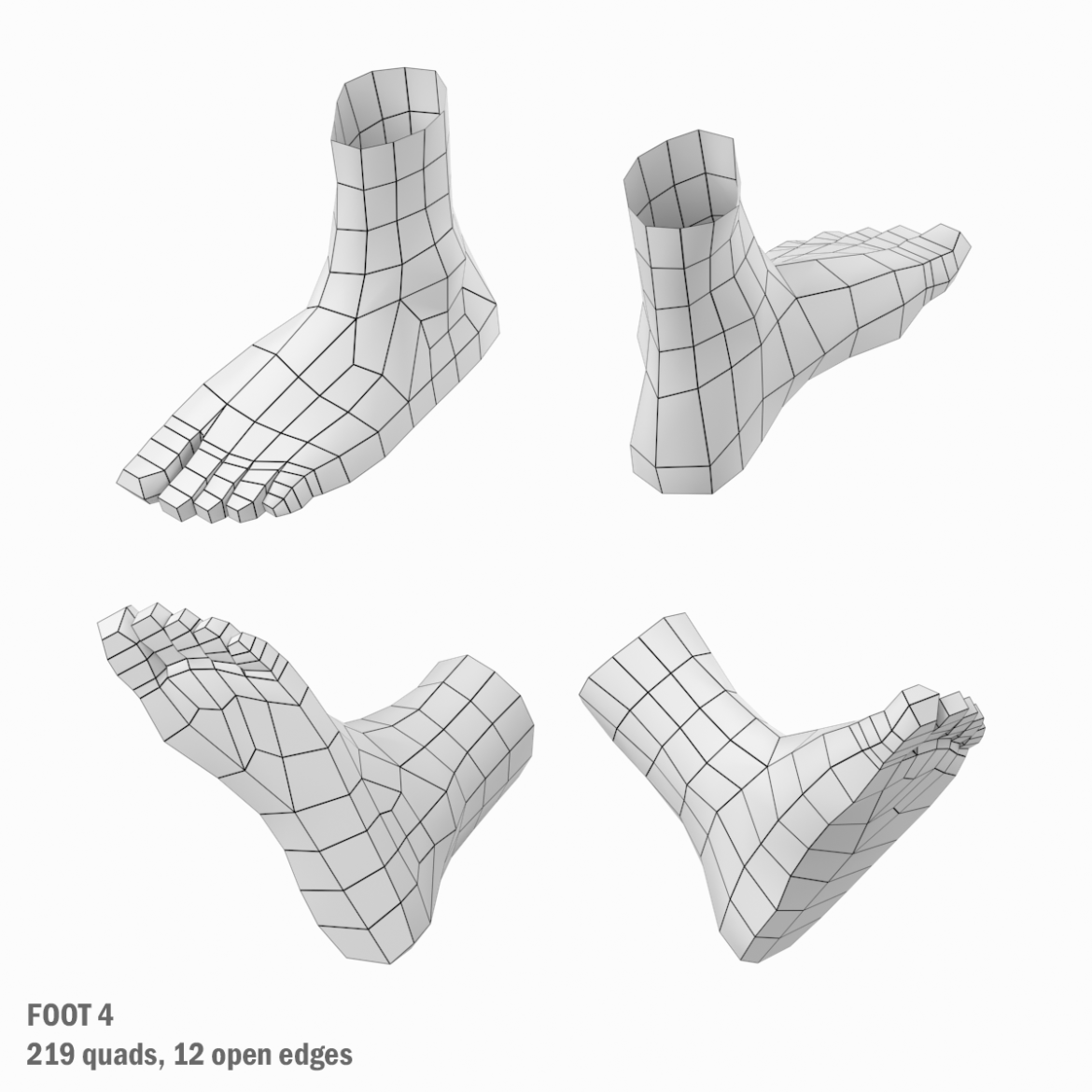  <a class="continue" href="https://www.flatpyramid.com/3d-models/medical-3d-models/anatomy/skeletal-system/leg/foot-base-mesh-kit/">Continue Reading<span> Foot Base Mesh Kit</span></a>