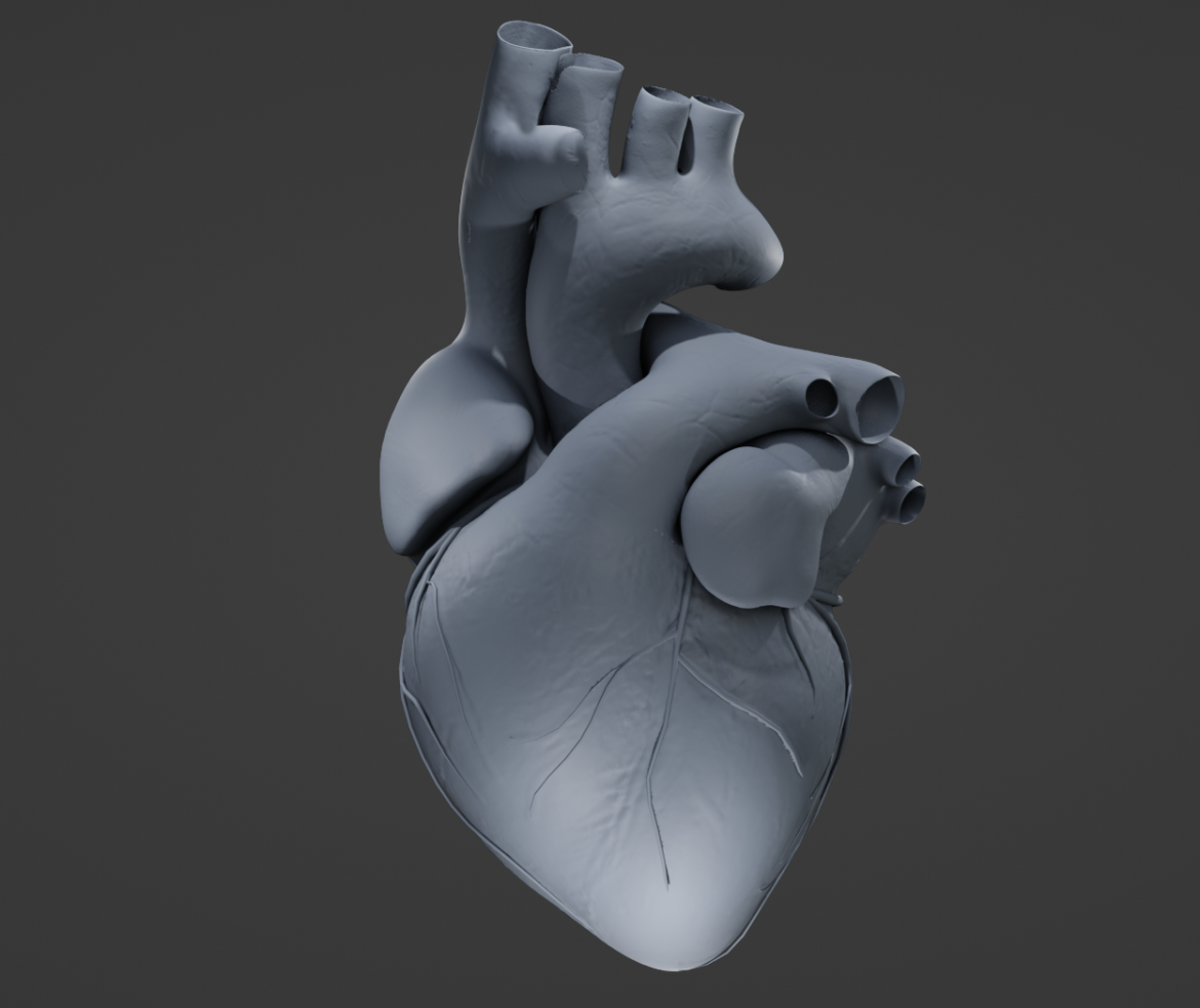  <a class="continue" href="https://www.flatpyramid.com/3d-models/medical-3d-models/anatomy/human-heart/">Continue Reading<span> Human Heart</span></a>