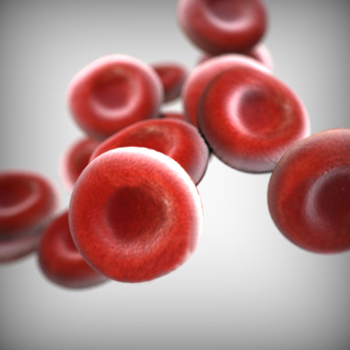  <a class="continue" href="https://www.flatpyramid.com/3d-models/medical-3d-models/anatomy/blood-cell/">Continue Reading<span> Blood Cell</span></a>
