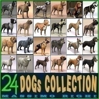 3d model of dogs including Bull dog Dogo Fila Mastiff Tosa Inu Shar Pei African Arctic Wolf Cattle Bordeaux Boxer Terrier Pinscher Dane Rottweiler Shepherd and Dalmatian