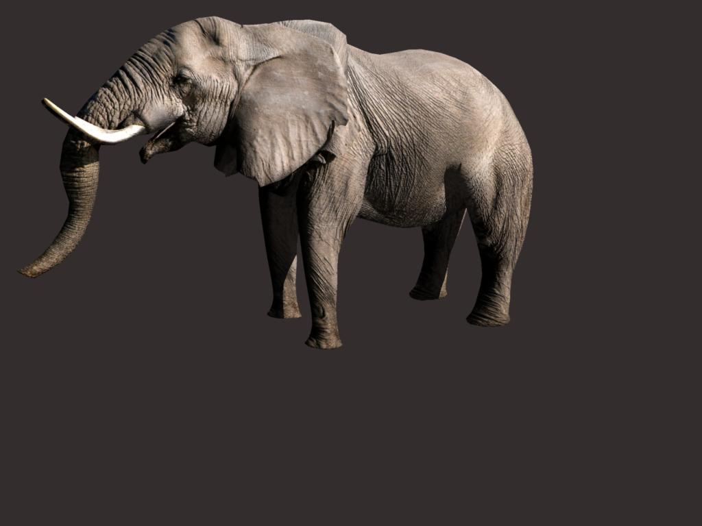 african elephant 3d model 3ds dxf fbx dae obj 132293