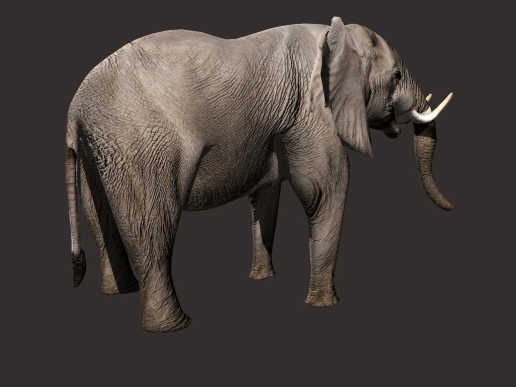 african elephant 3d model 3ds dxf fbx dae obj 132294