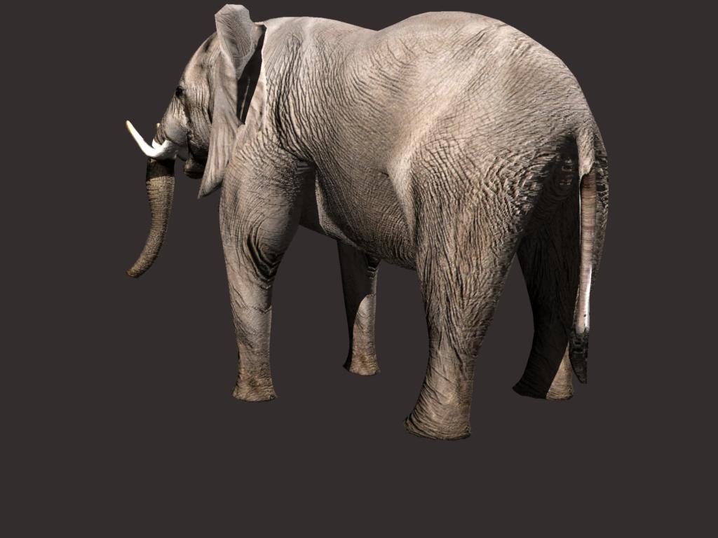 african elephant 3d model 3ds dxf fbx dae obj 132295