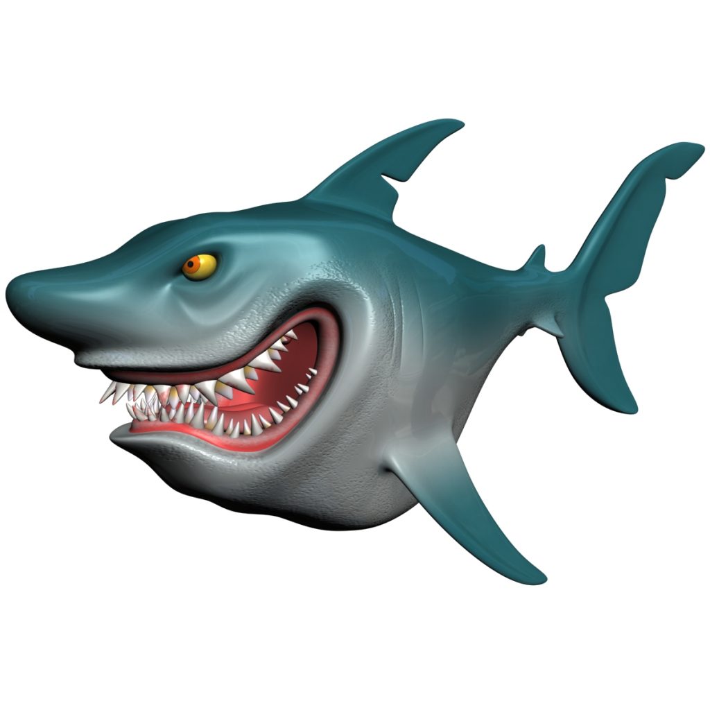 Cartoon Shark Rigged 3D Model - FlatPyramid