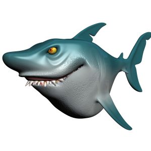 Cartoon Shark Rigged 3D Model - FlatPyramid