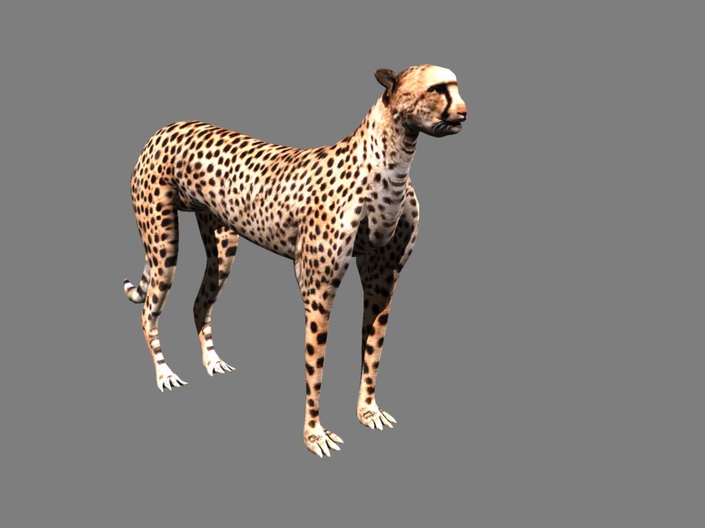 cheetah 3d model obj 132627