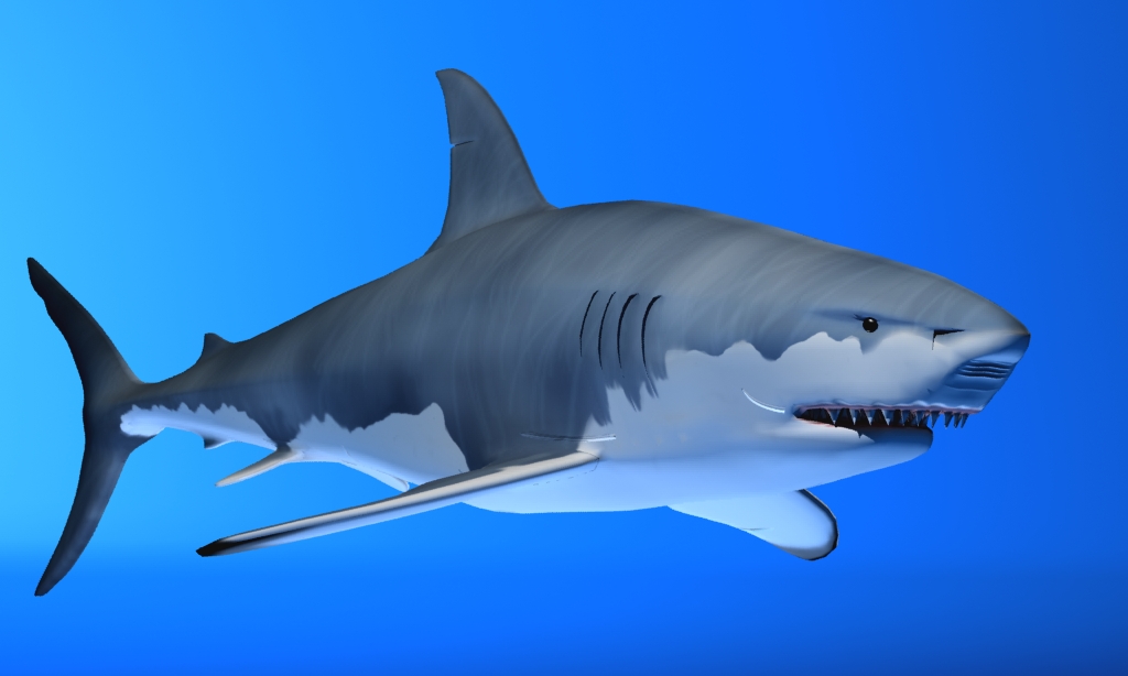 great white shark 3d model max fbx 150301