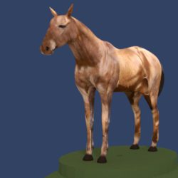 horse v4 3d model 3ds fbx blend dae obj 164650