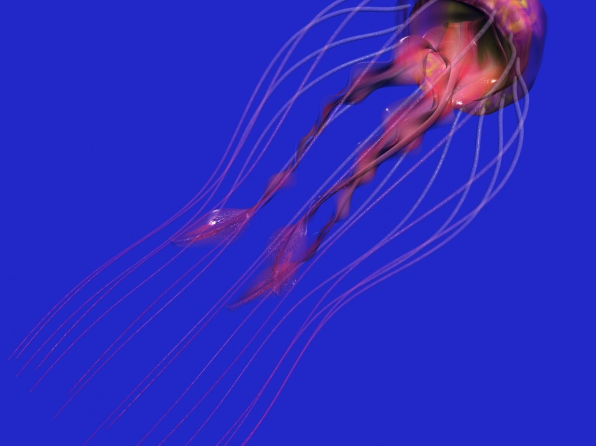 jellyfish rigged 3d model 3ds max fbx obj 161578