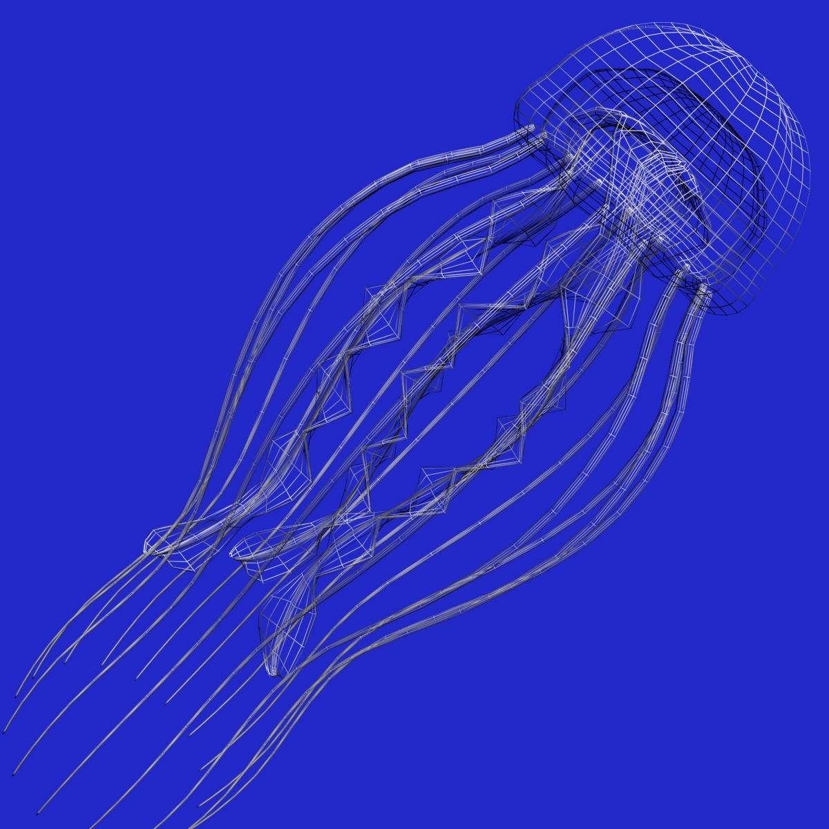 Jellyfish Rigged 3D Model FlatPyramid Jellyfish Rigged 3D Model FlatPyramid