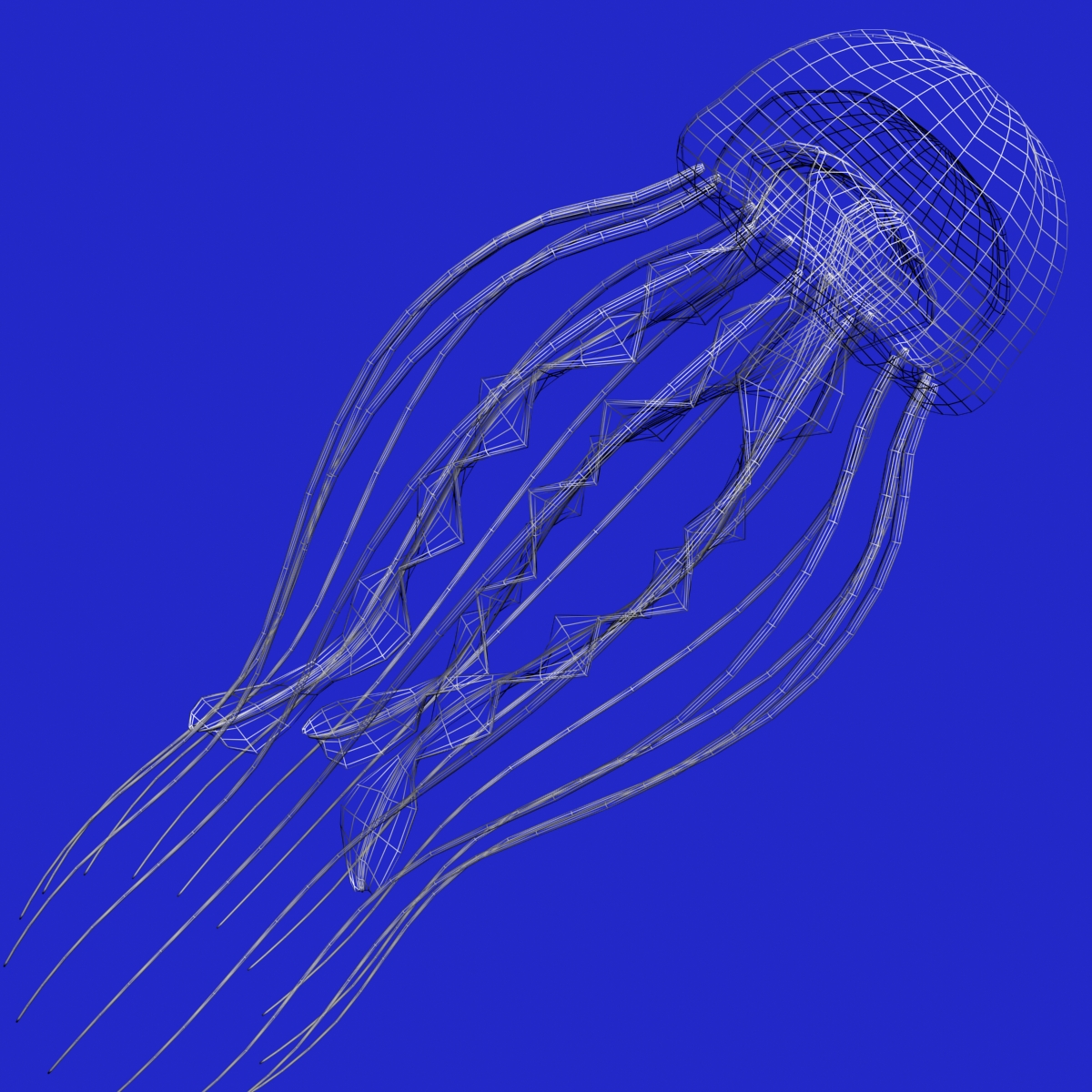  Jellyfish  Rigged 3D Model  FlatPyramid