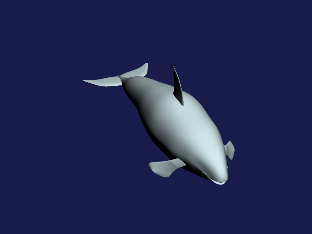 orca 3d model max 143439