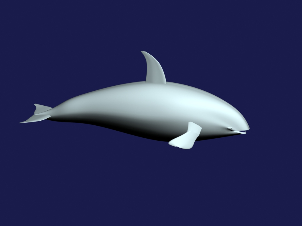 orca 3d model max 143440