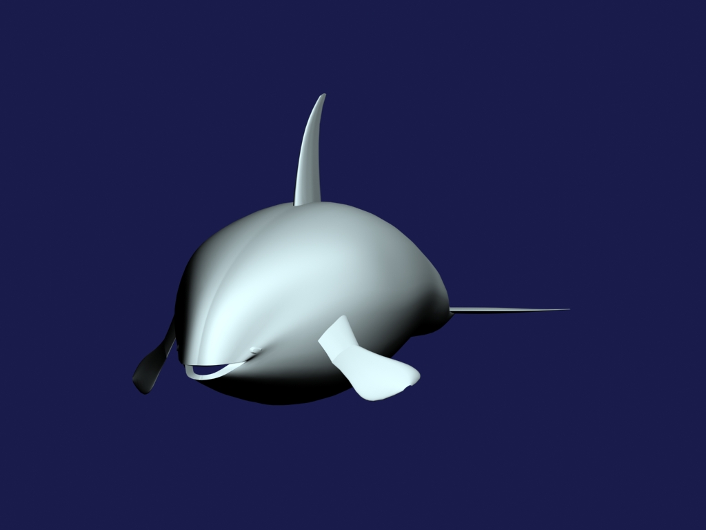 orca 3d model max 143441