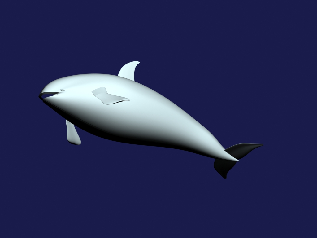 orca 3d model max 143442