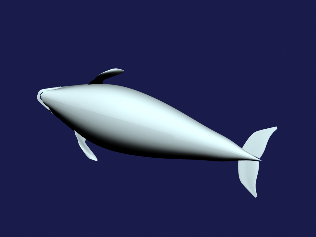 orca 3d model max 143443