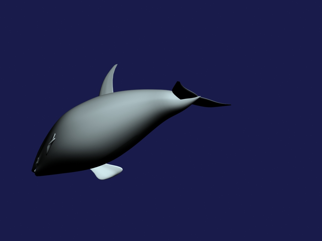 orca 3d model max 143445