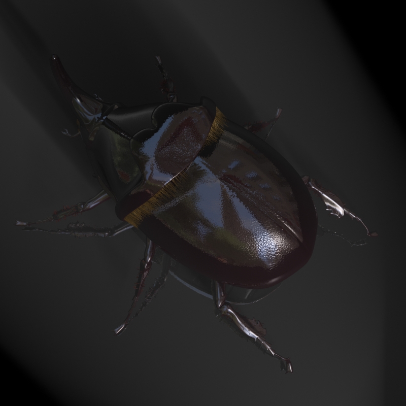 rhinoceros beetle rigged 3d model 3ds max fbx lwo obj 120231